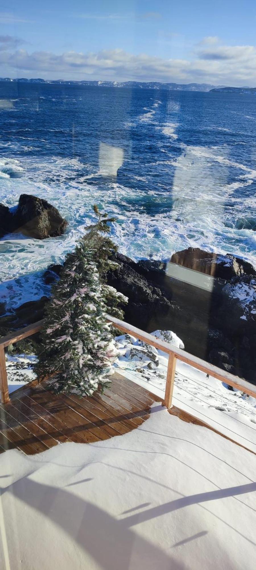 The View Suites And Breakfast In Triton, Newfoundland Pilley's Island エクステリア 写真