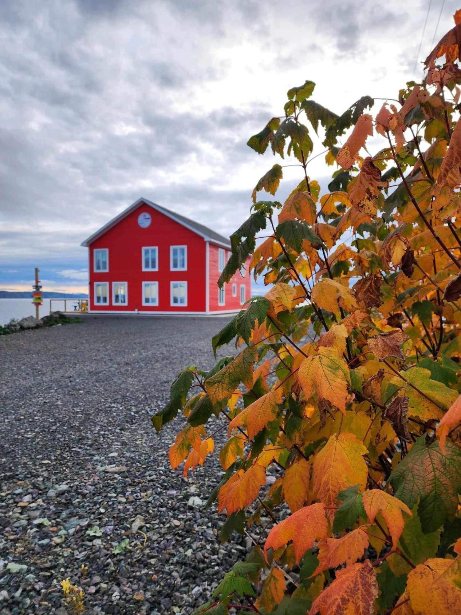 The View Suites And Breakfast In Triton, Newfoundland Pilley's Island エクステリア 写真