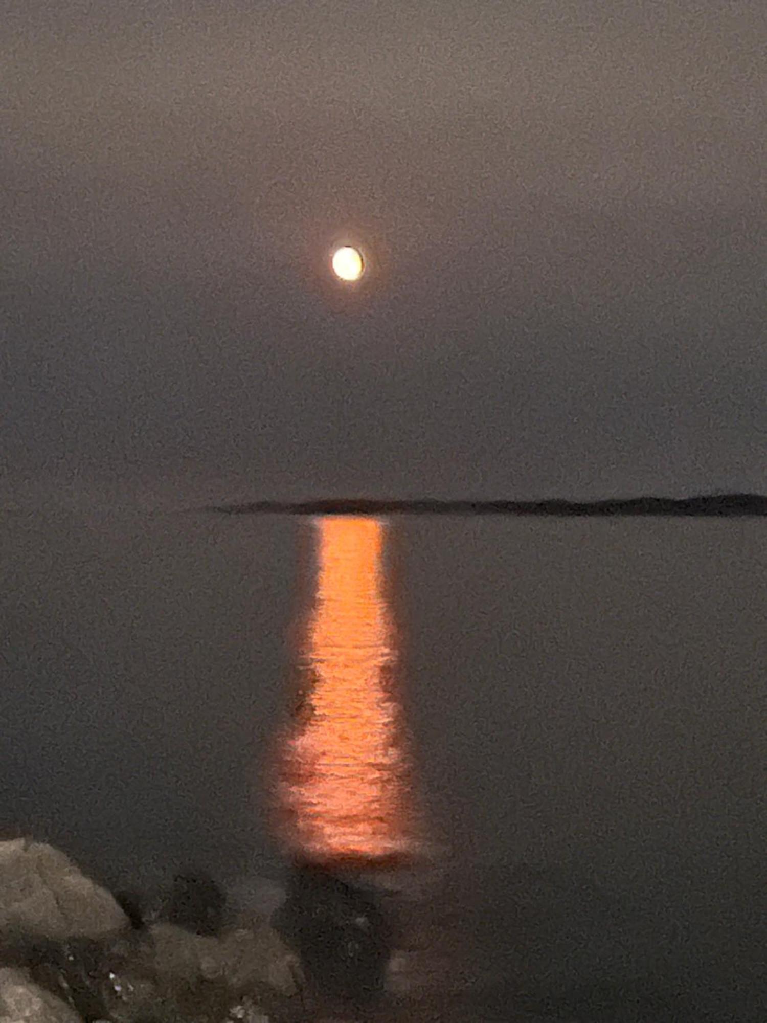 The View Suites And Breakfast In Triton, Newfoundland Pilley's Island エクステリア 写真