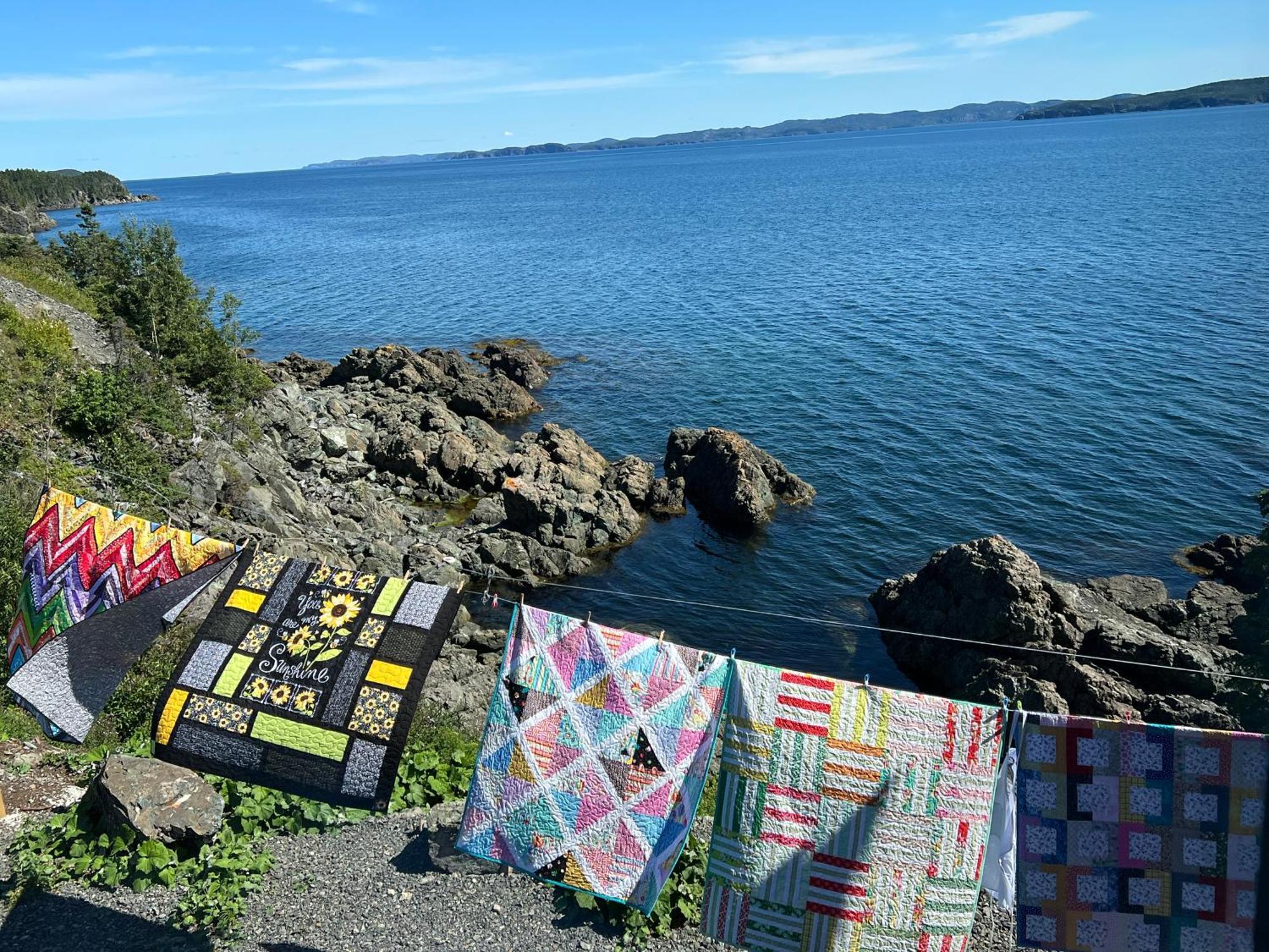 The View Suites And Breakfast In Triton, Newfoundland Pilley's Island エクステリア 写真