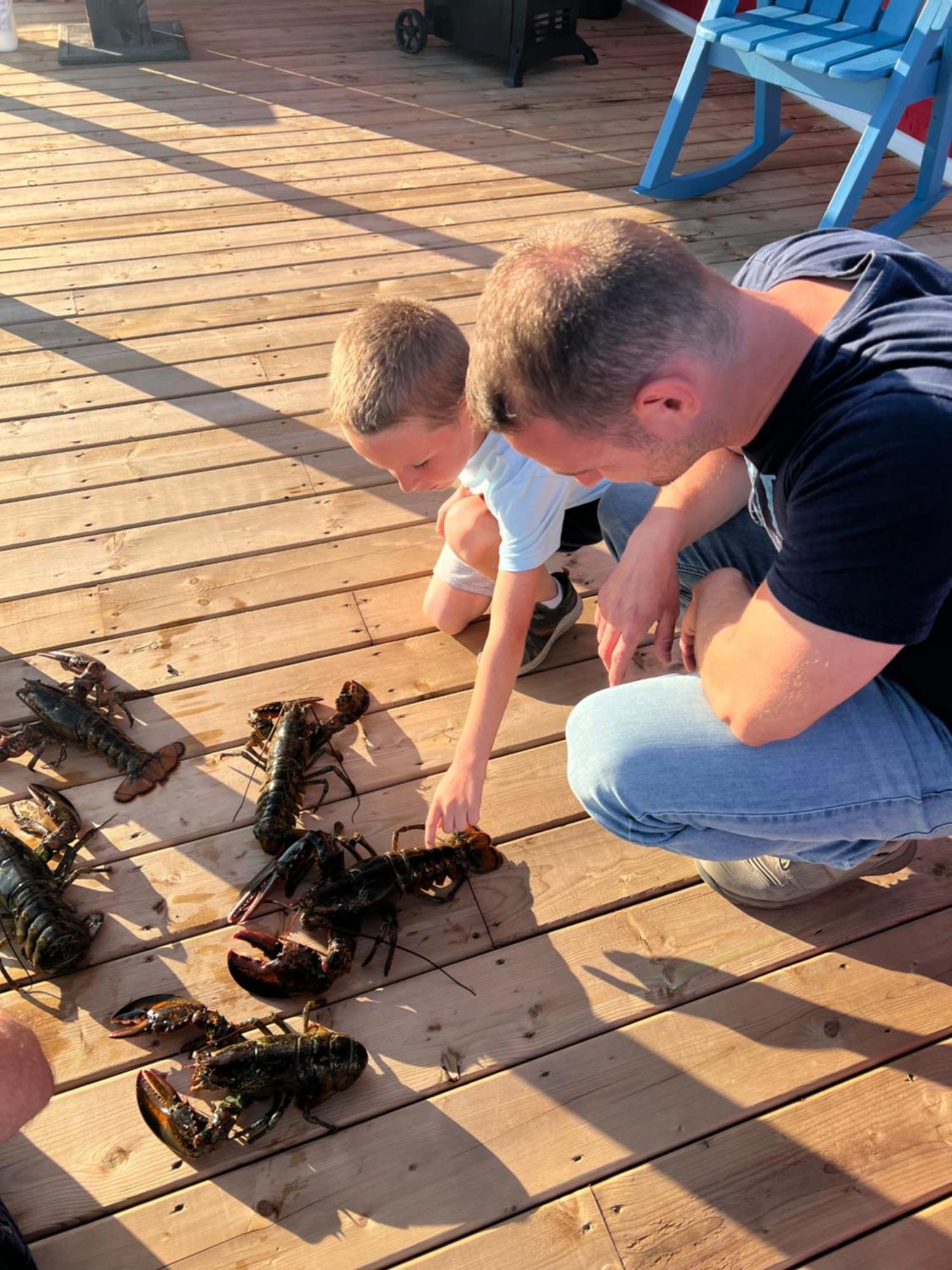 The View Suites And Breakfast In Triton, Newfoundland Pilley's Island エクステリア 写真