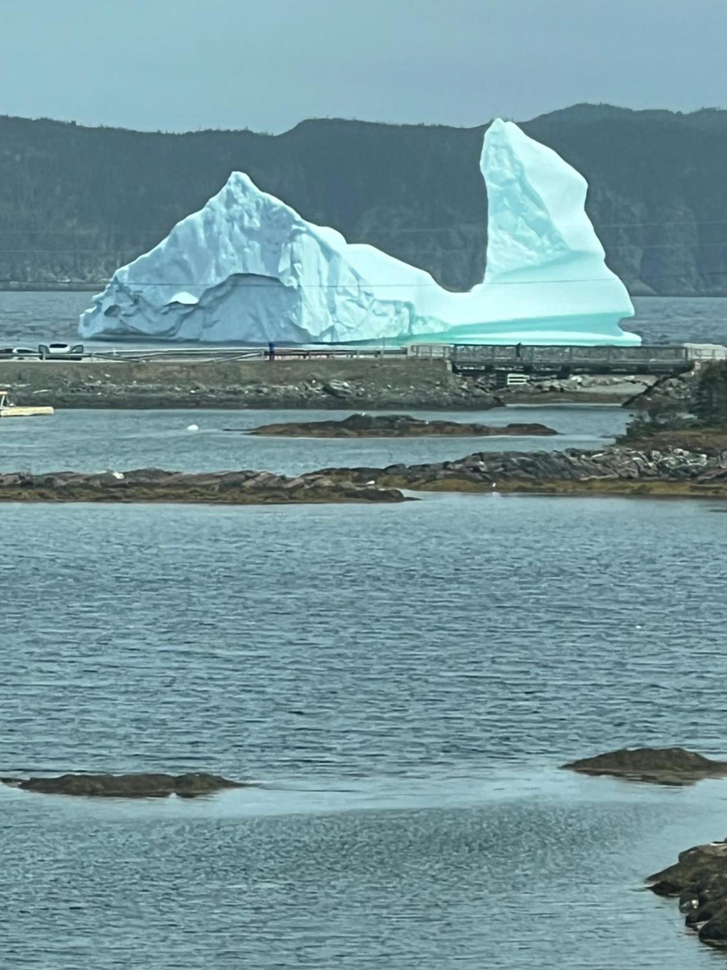 The View Suites And Breakfast In Triton, Newfoundland Pilley's Island エクステリア 写真