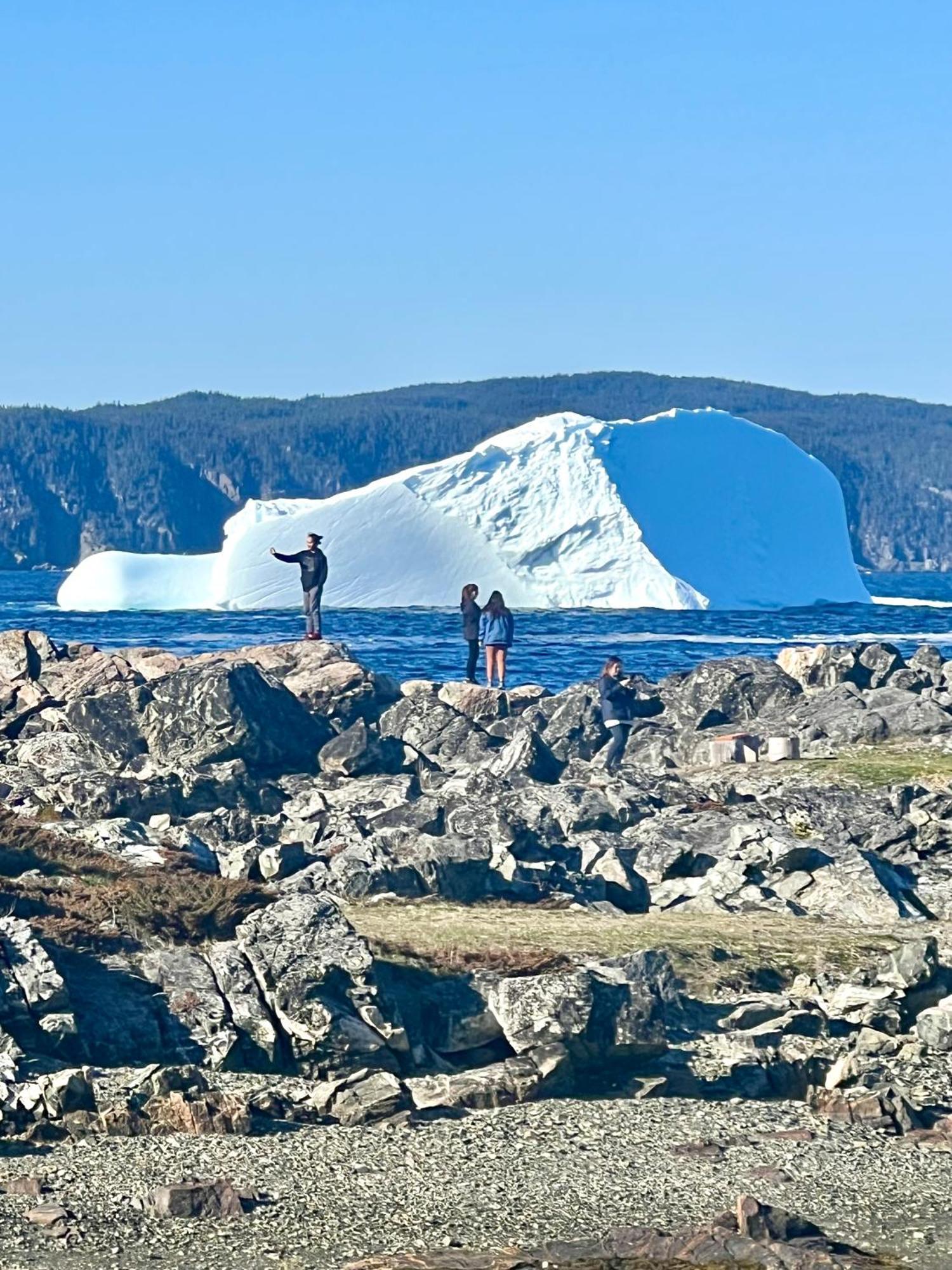 The View Suites And Breakfast In Triton, Newfoundland Pilley's Island エクステリア 写真