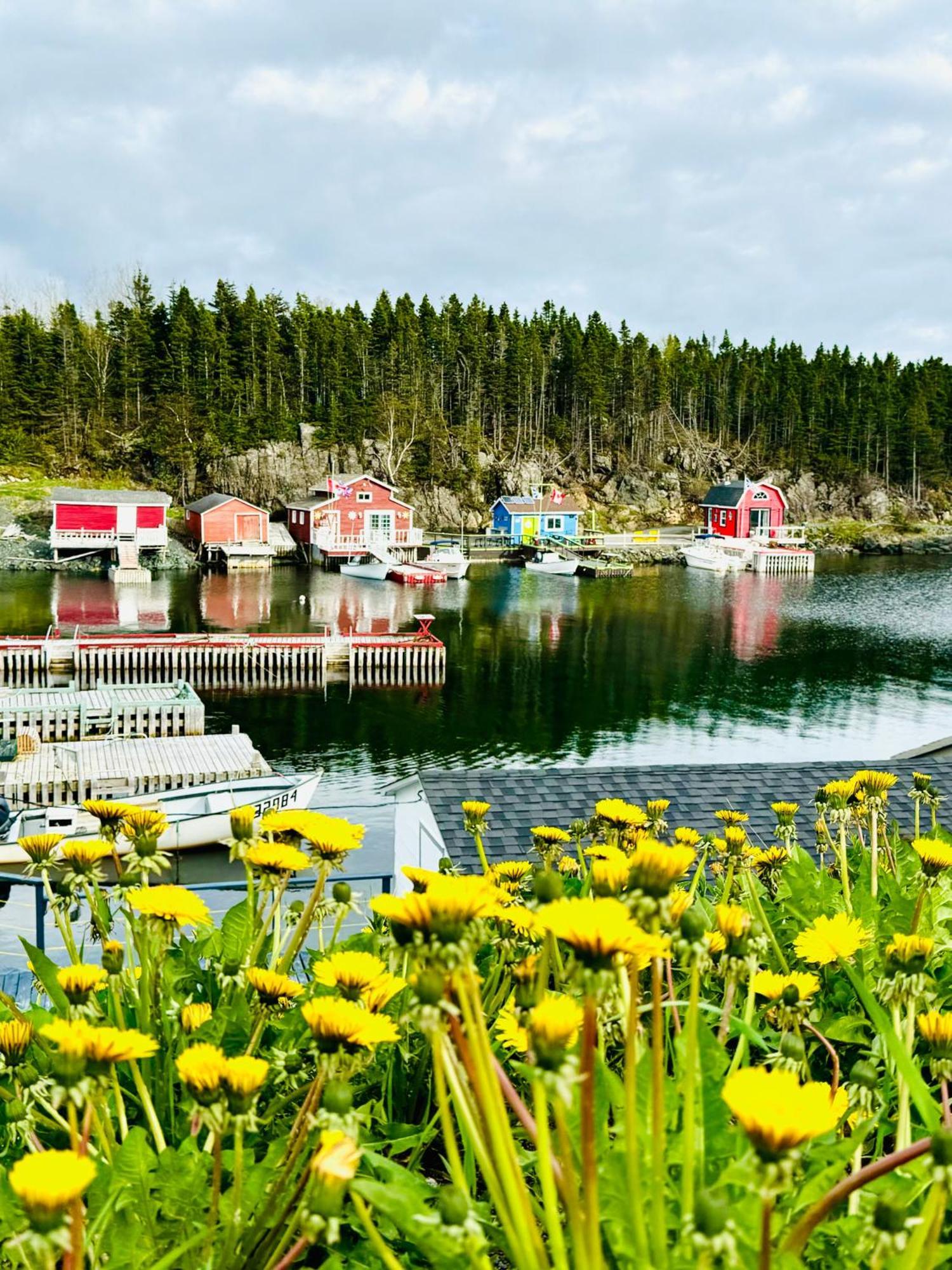 The View Suites And Breakfast In Triton, Newfoundland Pilley's Island エクステリア 写真