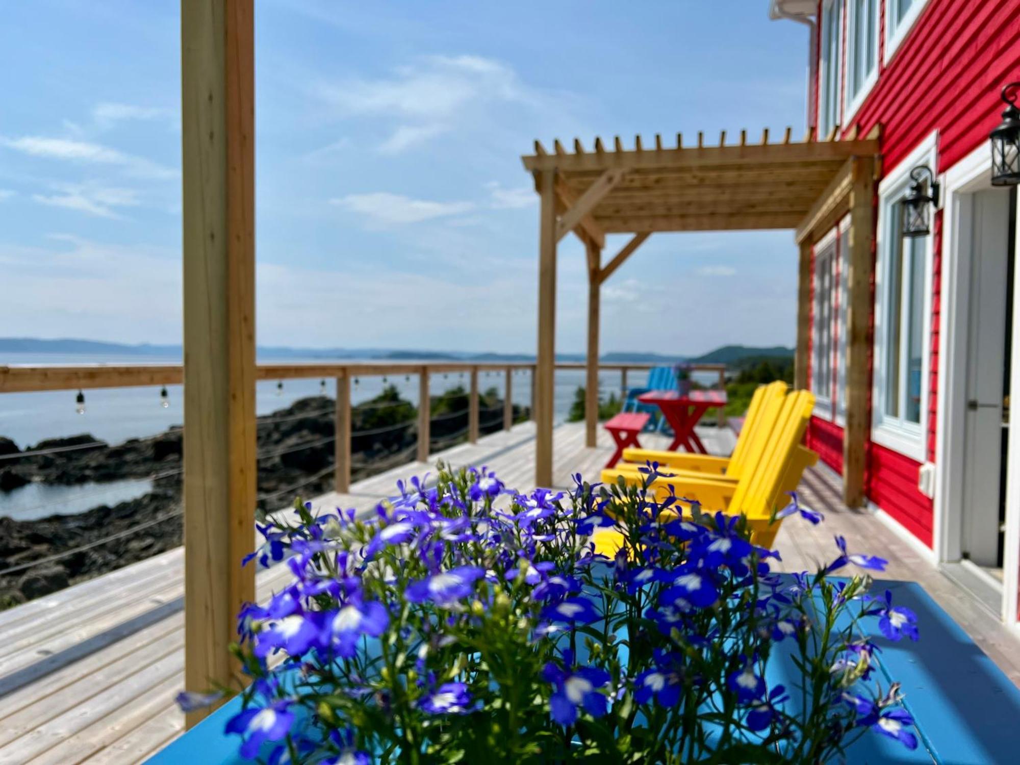 The View Suites And Breakfast In Triton, Newfoundland Pilley's Island エクステリア 写真